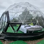 Skydome
