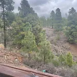 Small House In The Nature