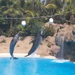 Tenerife Apartment Colina Blanca