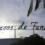 Apartments In Playa Fanabe Ldf