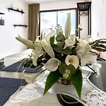 Jacaranda Studio