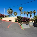 Finca La Gaviota - Las Palmeras