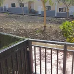 Alondra 3 1