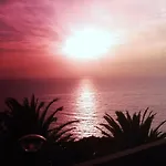 Marazul Del Sur