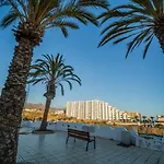 The Ocean Garden Apartment In Playa Paraiso