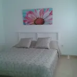 Confortable Piso En El Centro De Tenerife