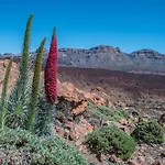 Holiday Home El Teide