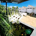 Aviator Tenerife 2