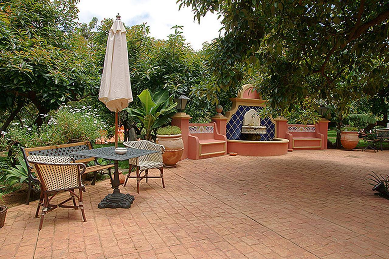 Nice House In Large Avocado Garden, Tenerife North Landhuis Tacoronte