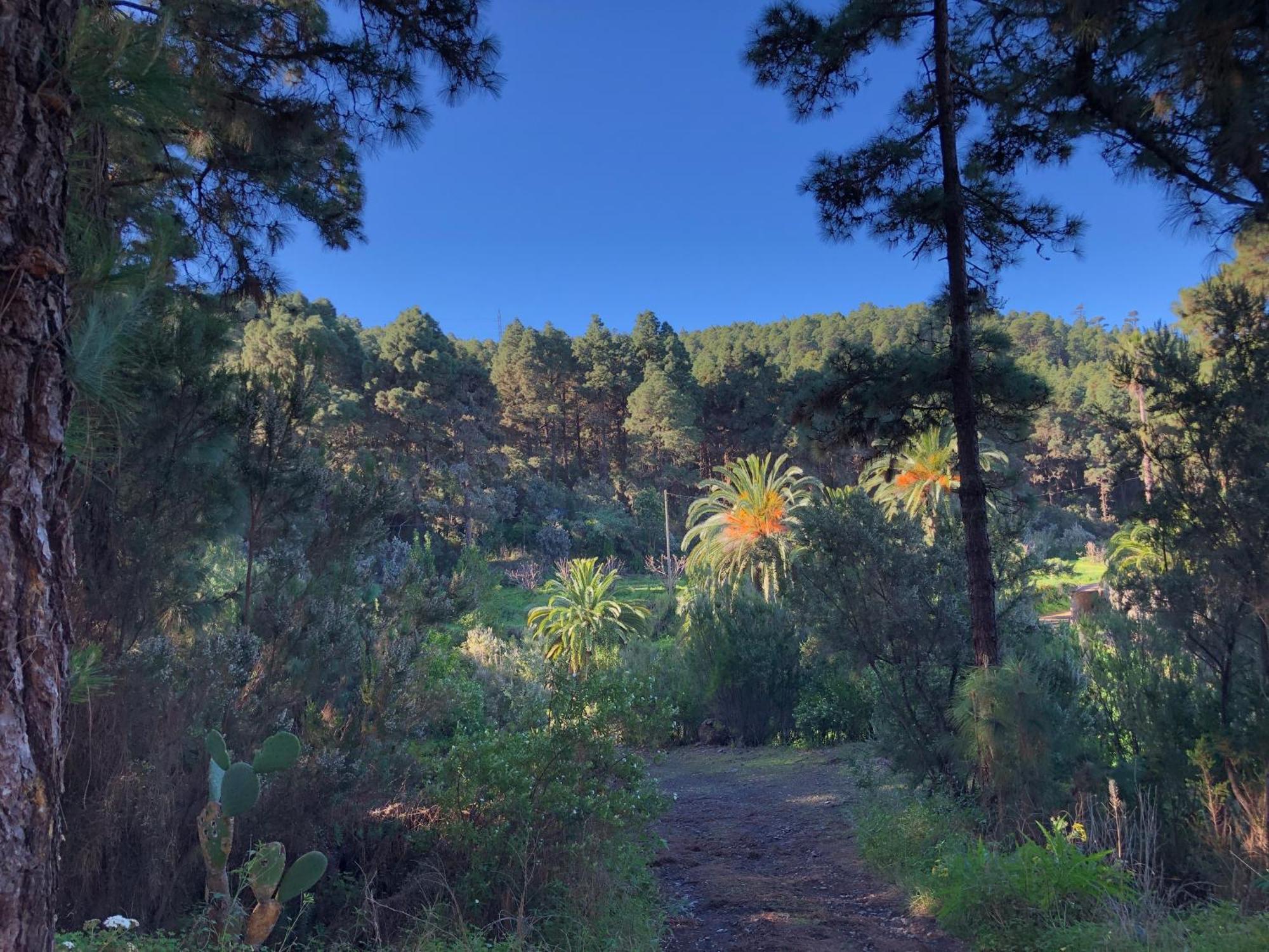 Monte Frio De Tenerife Séjour à la campagne