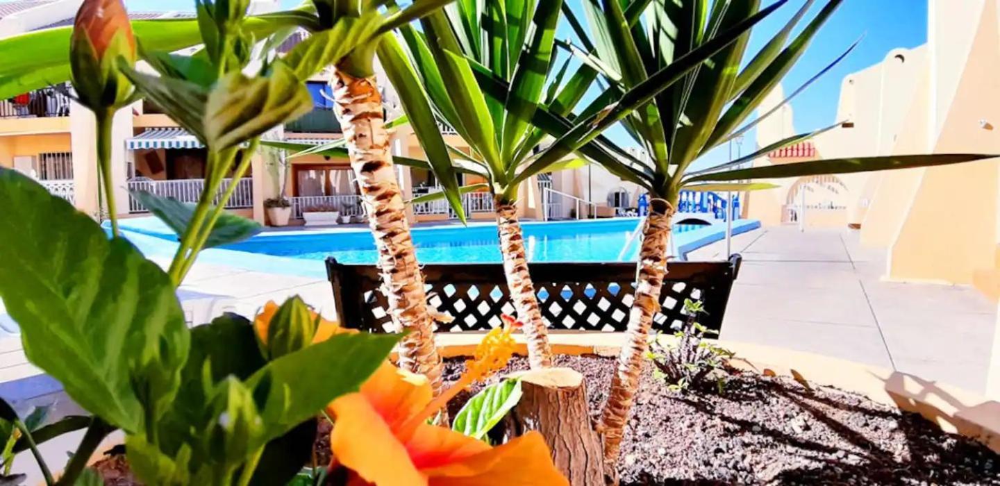 Апартаменты Sunny Pool Patio - 2 Bedrooms 2 Baths Адехе
