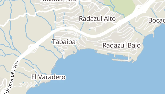 Térkép