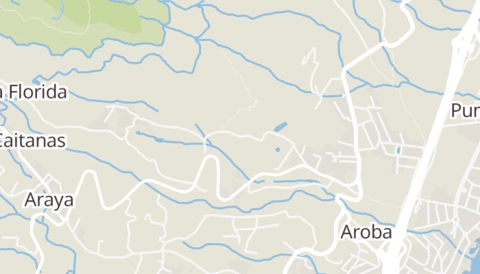 Térkép